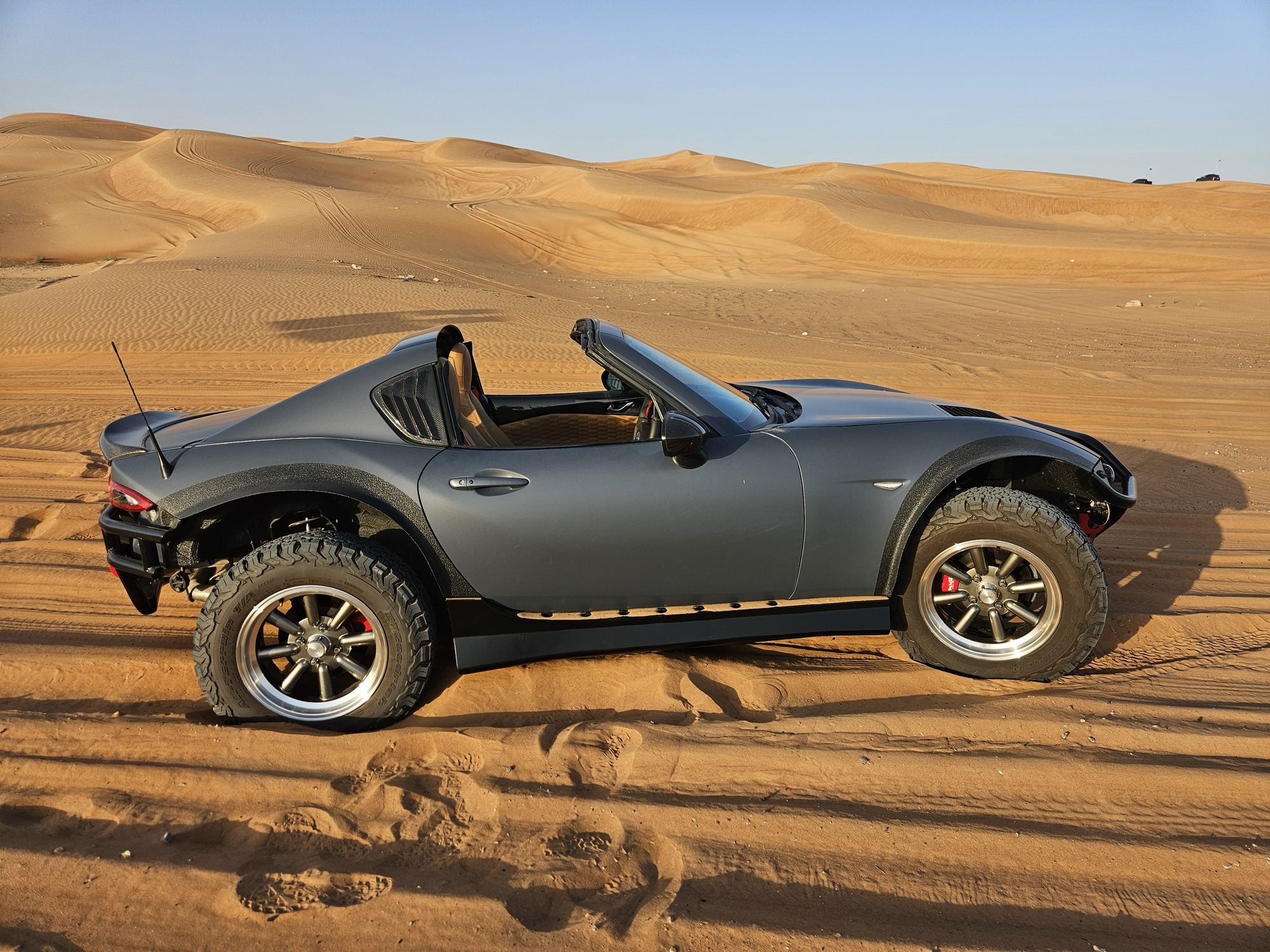 Simba in its desert environment